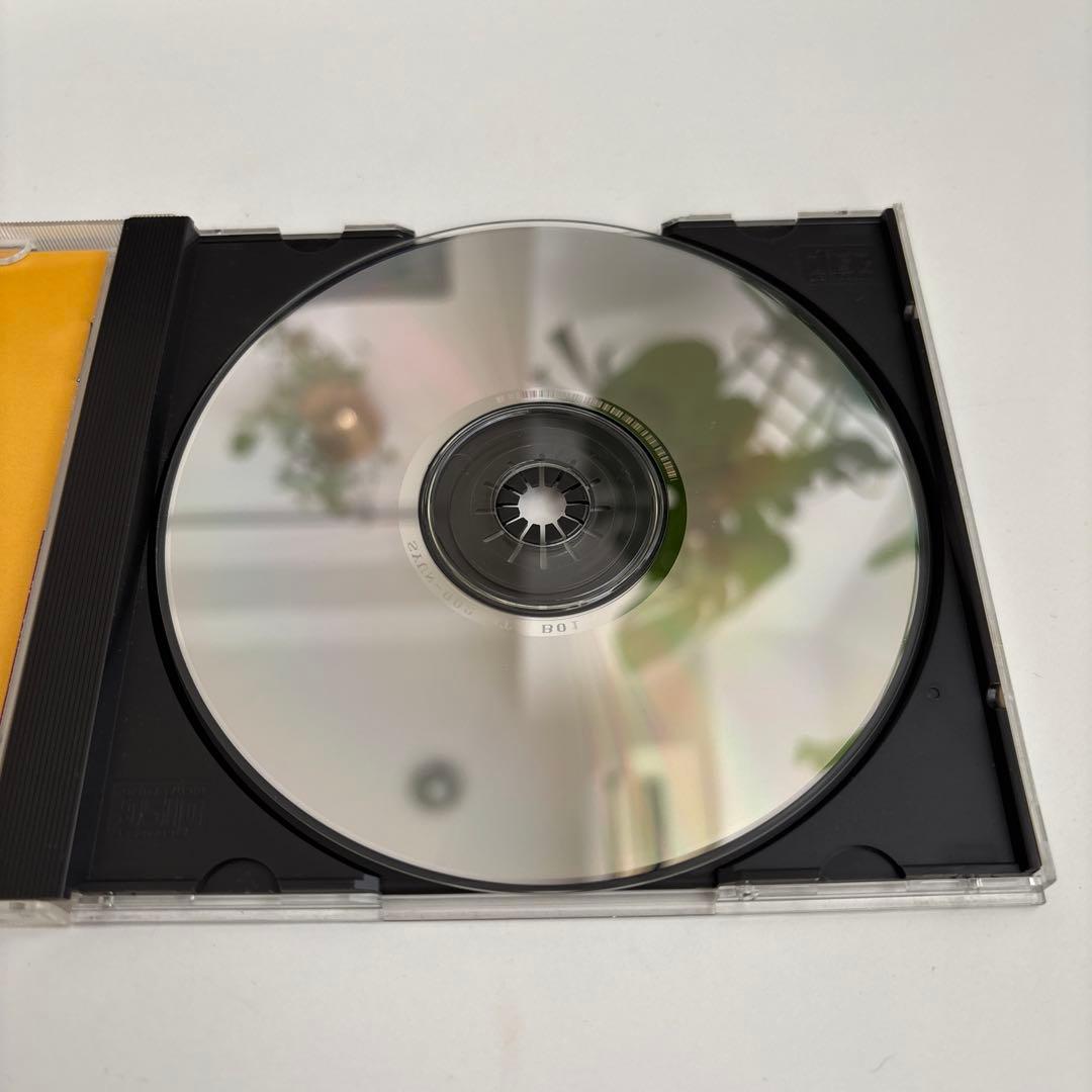 邦楽 P-MODEL PAUSE LIVE 19931011