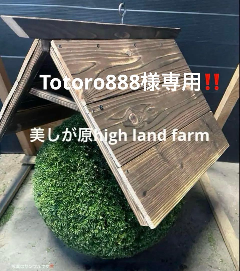 杉玉　約40センチ　屋根付き‼️お客様ご注文品♪ 杉玉屋根（直径40㎝の杉玉用） - 杉玉の高林 オンラインストア