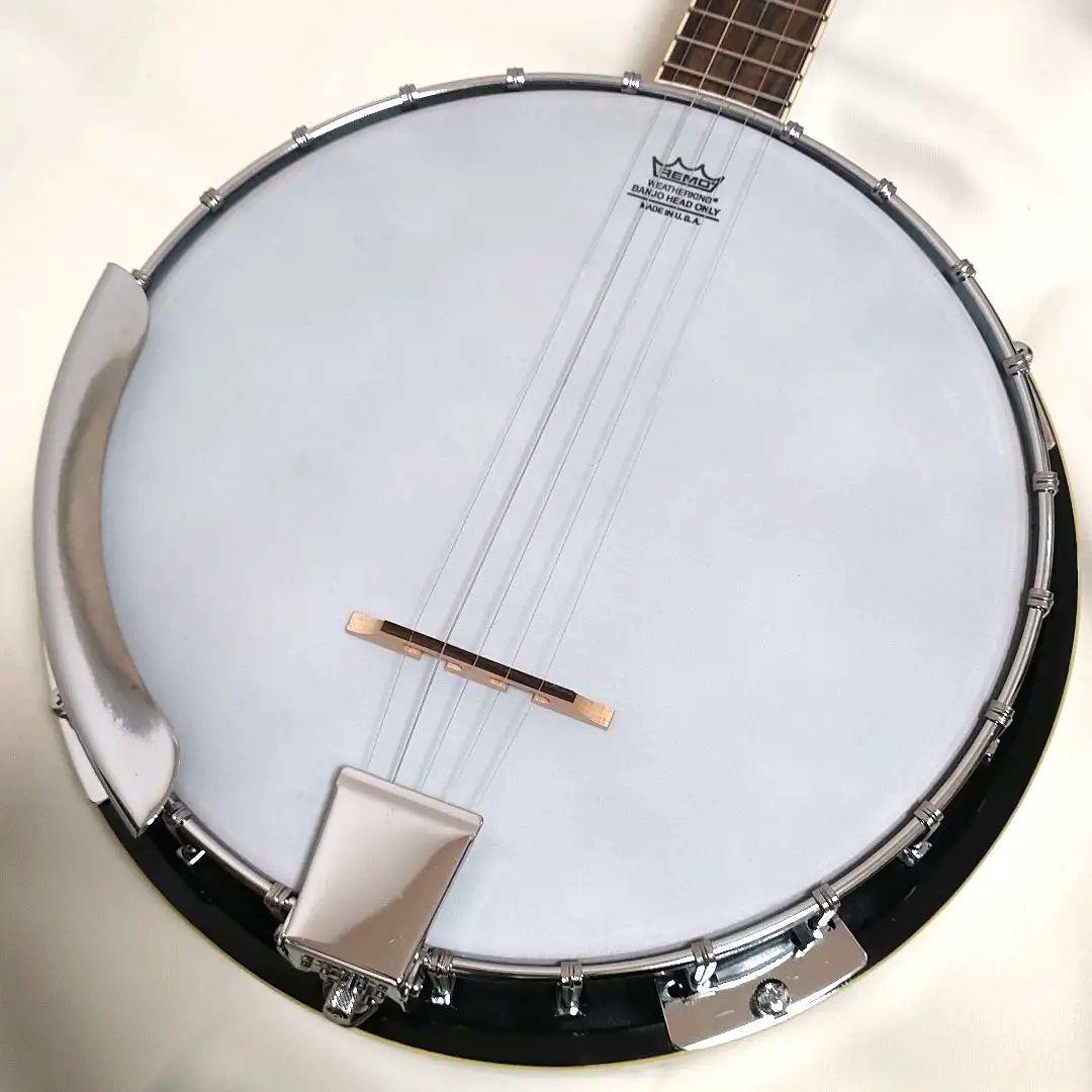 美品 廃盤 ARIA SB-100 5弦バンジョー ハードケース付 送料込み - メルカリ