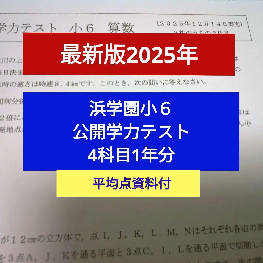 最新版2025年】浜学園小6公開学力テスト 4科目 平均点分布表付 - メルカリ