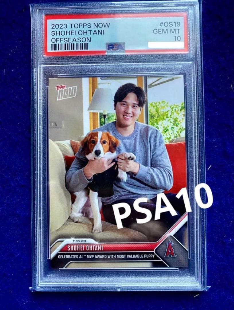 PSA10】 Topps 大谷翔平 デコピン 2023MVP受賞記念 OS19 - メルカリ