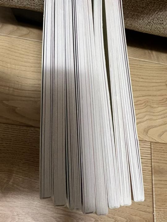 litleseed unit1〜8 美品 DVD テキスト　英会話