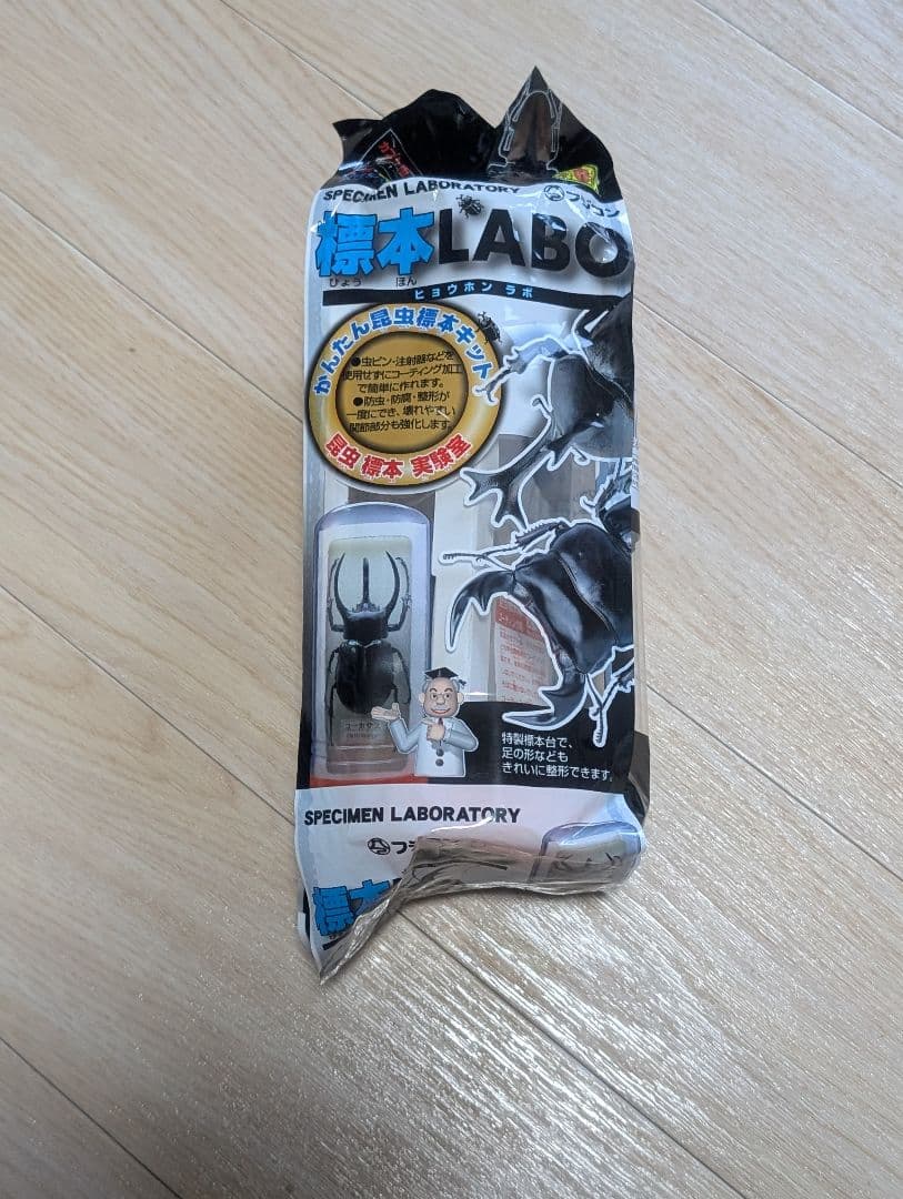 標本まとめ売り クワガタ11匹