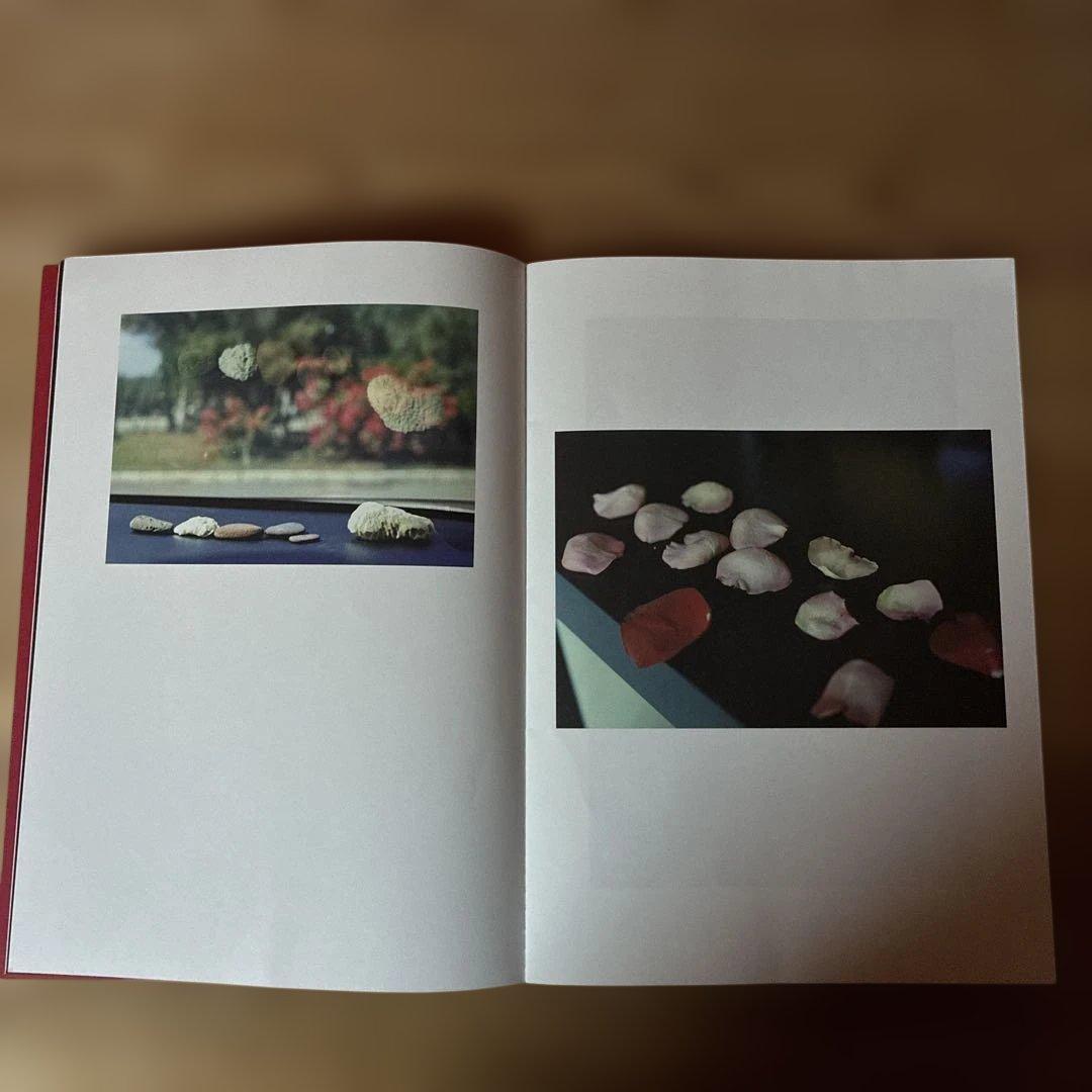 アート・デザイン・音楽 Lin Zhipeng aka,No.223 Mysterious Skin