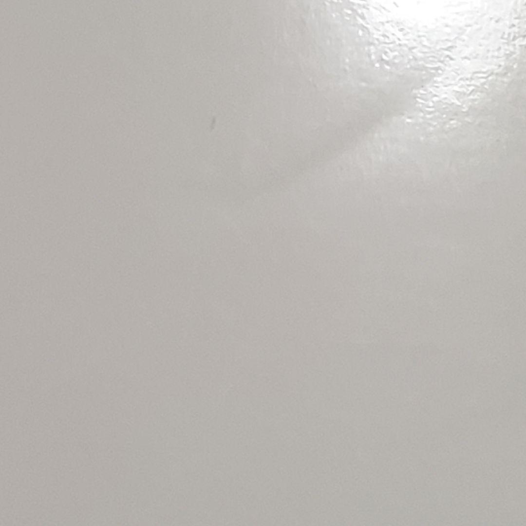 p*n様 絶版 線虫ラボマニュアル 三谷昌平