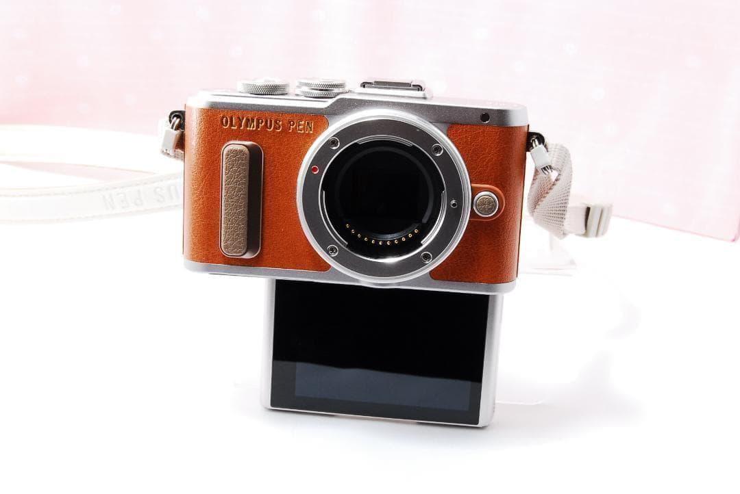 〓シャッター数2536枚〓オリンパス PEN E-PL8 ボディ ミラーレス