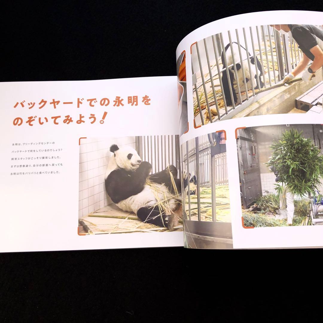 ジャイアントパンダ 永明30歳記念 写真集「永明からつながるスマイル