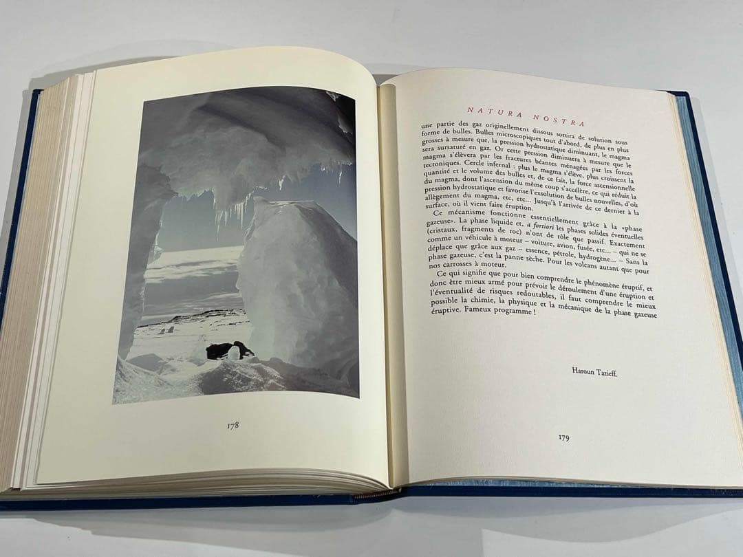 洋書 NATURA NOSTRA 限380 ブラジリエ画 革装幀 三方金 - メルカリ