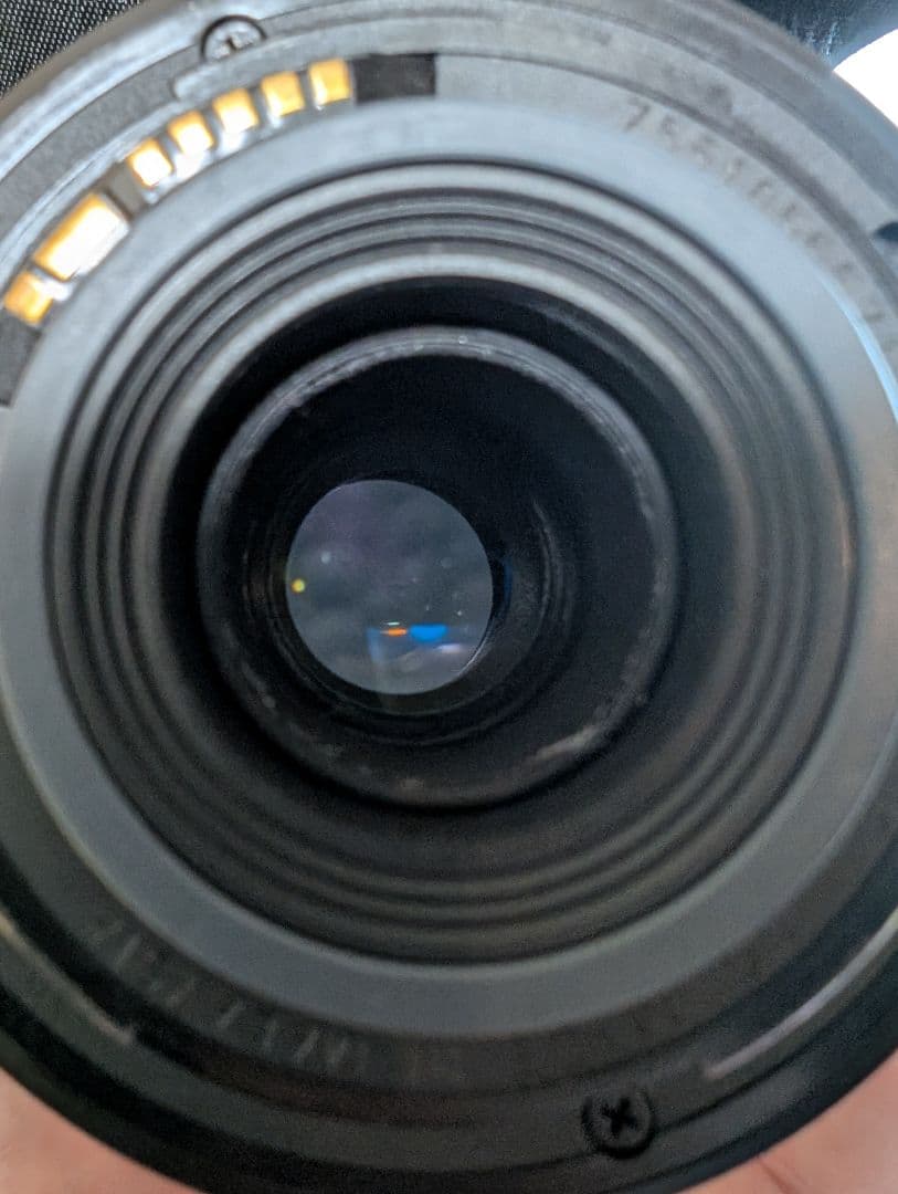 Canon レンズ EF-S 55-250mm f/4-5.6　#6