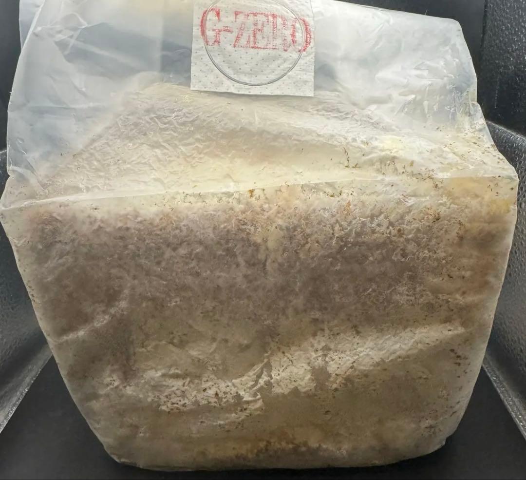 DDA 菌糸ブロック　G-ZERO 8ブロック G-ZERO ブロック 即効肥大 dda クワガタ 菌糸ビン 菌糸瓶 幼虫 エサ