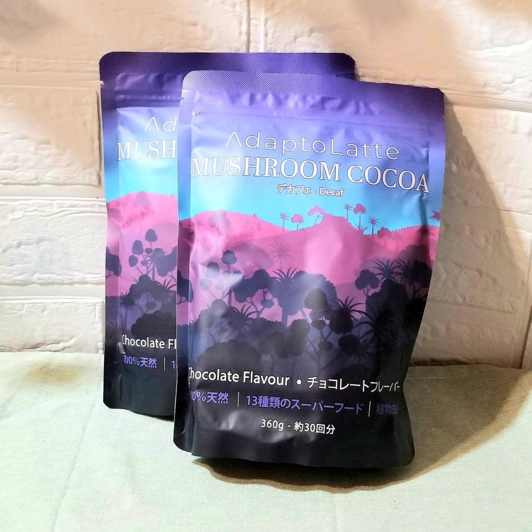 ウィークエンズ weekends ピンクのテリアとビーチボールのブローチ