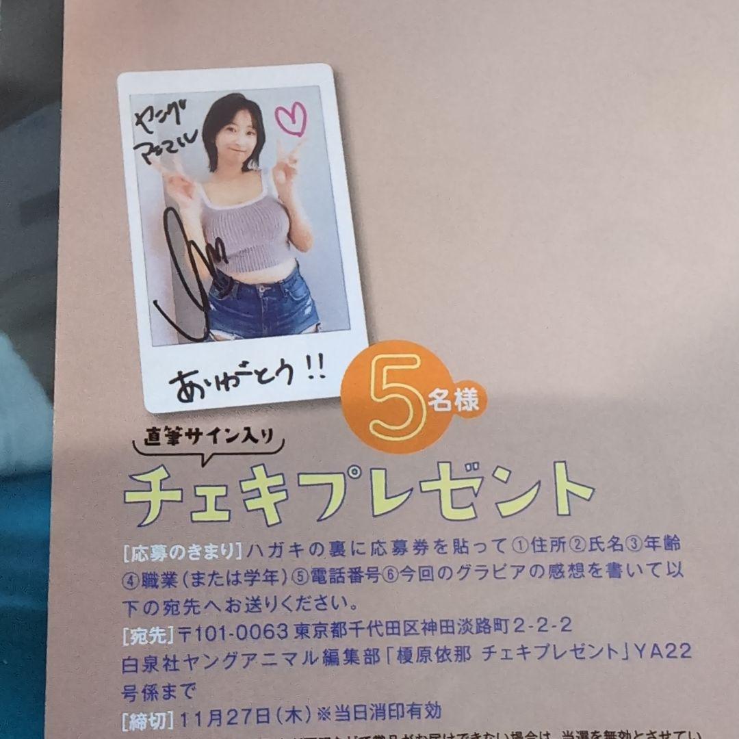 ヤングアニマル 2025年 No.22 榎原依那 チェキ応募券 3枚 - メルカリ