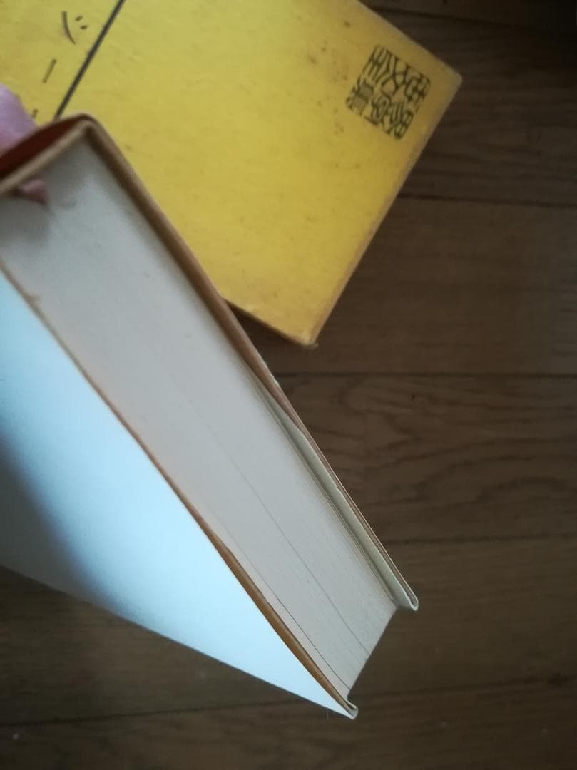 ユリシーズ ジョイス　伊藤整　新潮社　世界文学全集２２