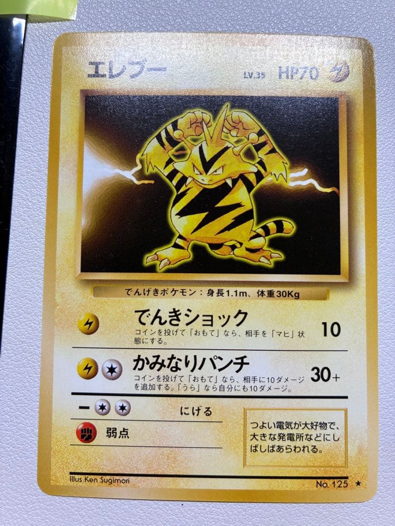 確認中 現物 エレブー ポケモンカード　旧裏面　未使用　美品 レア エレブー（旧裏・マークあり） - VALUABLE CARD TOKYO