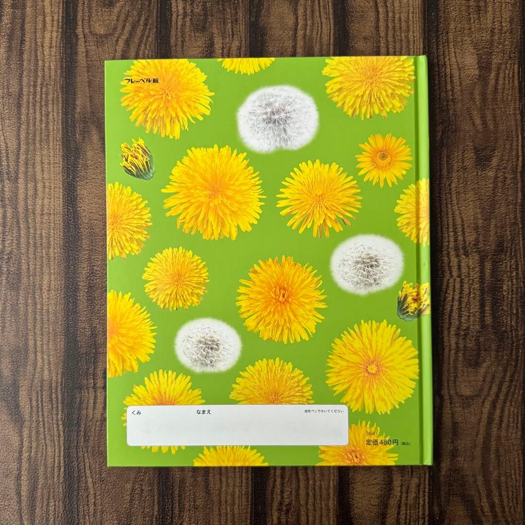たんぽぽ ちいさなかがくのとも キンダーブックしぜん ビッグ