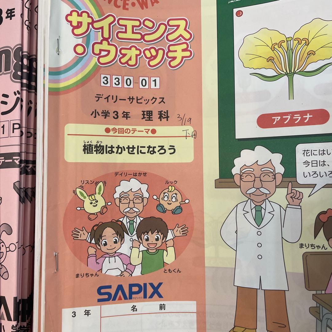 SAPIX 3年 数学 国語 理科 社会 デイリーサピックス 夏期 冬期 講習