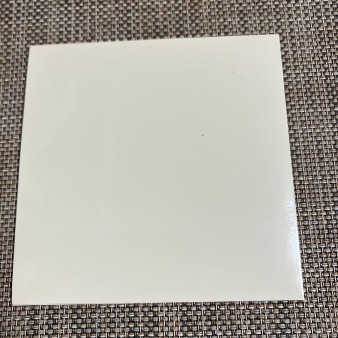 家主★レアミニアルバムyanushi ep★