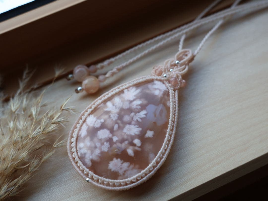 でんちゃん 8/22