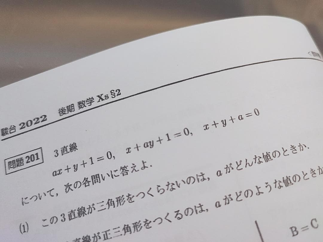 駿台 数学XS§2 プリントフルセット 三森司先生 鉄緑会 Z会 東進 河合塾