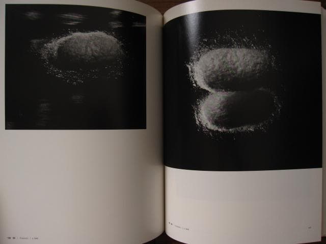 安井仲治 写真集 Nakaji Yasui 展覧会チラシ付き - メルカリ