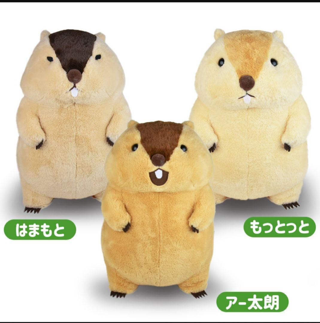 マーモットのもっとっと ウルトラBIGぬいぐるみ3種 - メルカリ