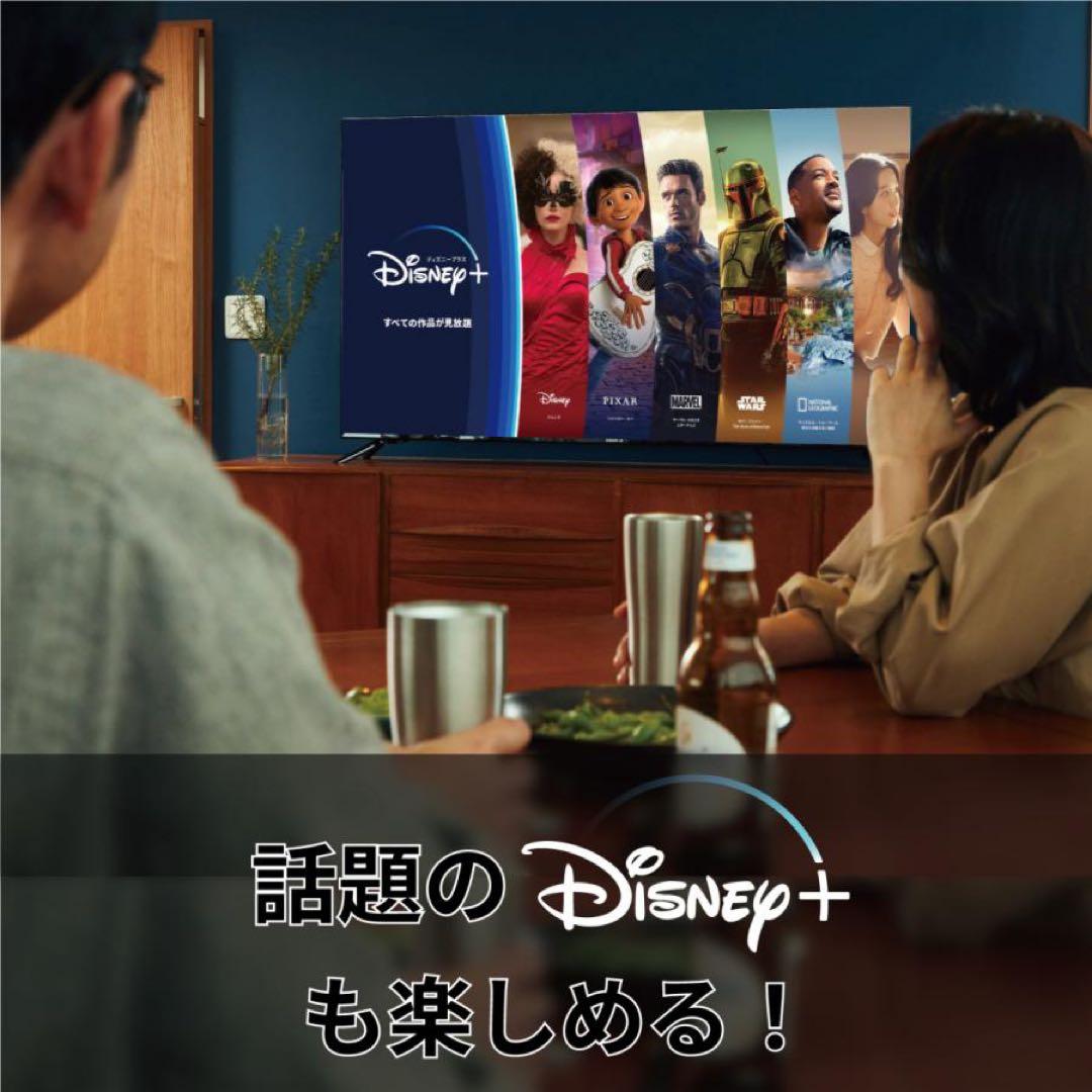 ほぼ未使用品！50V型 4K 液晶テレビ Android TV ネット動画アプリ