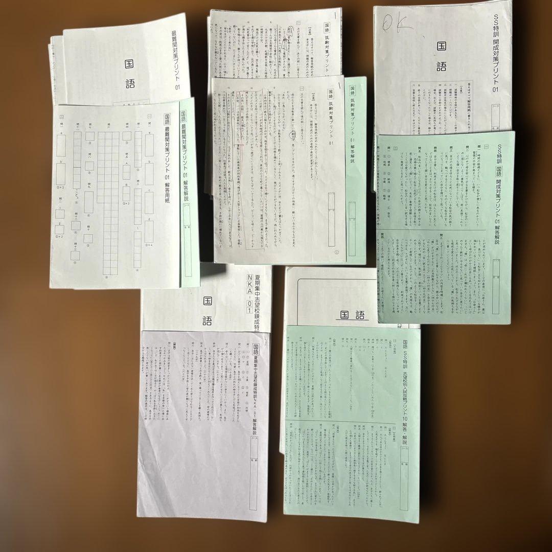 SAPIX 6年国語 SS特訓夏期集中最難関コーステキスト - メルカリ