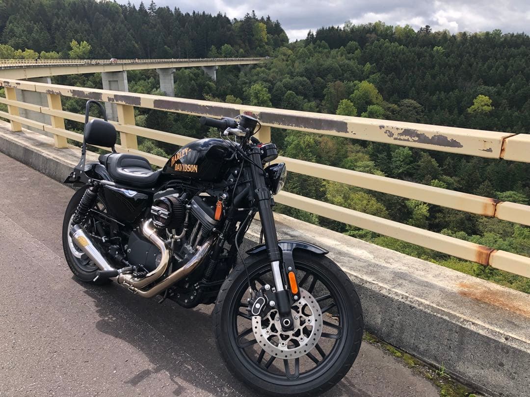 XL1200Xマフラー RSD VANCE & HINESコラボスポーツスター - メルカリ