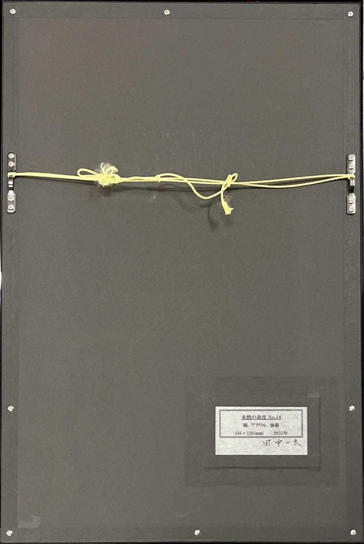 田中一太《未然の表皮 No.14》2021年