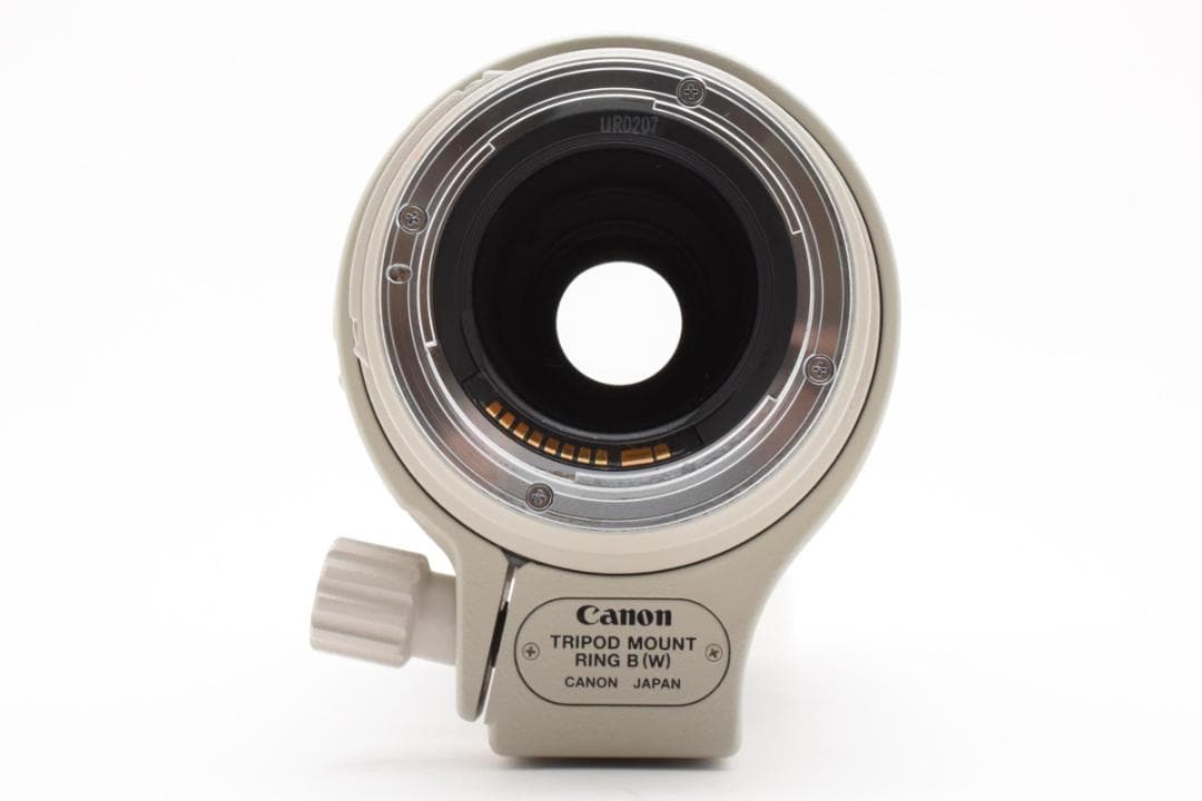 ★美品★Canon EF 100-400mm F4.5-5.6 L IS USM