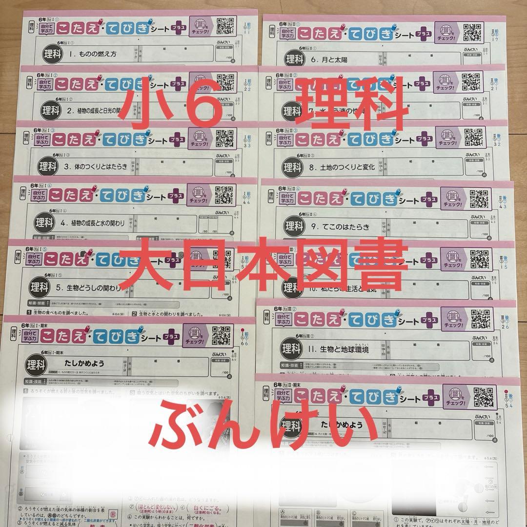6年⭐︎カラーテスト 答え 小6 理科 大日本図書 ぶんけい - メルカリ