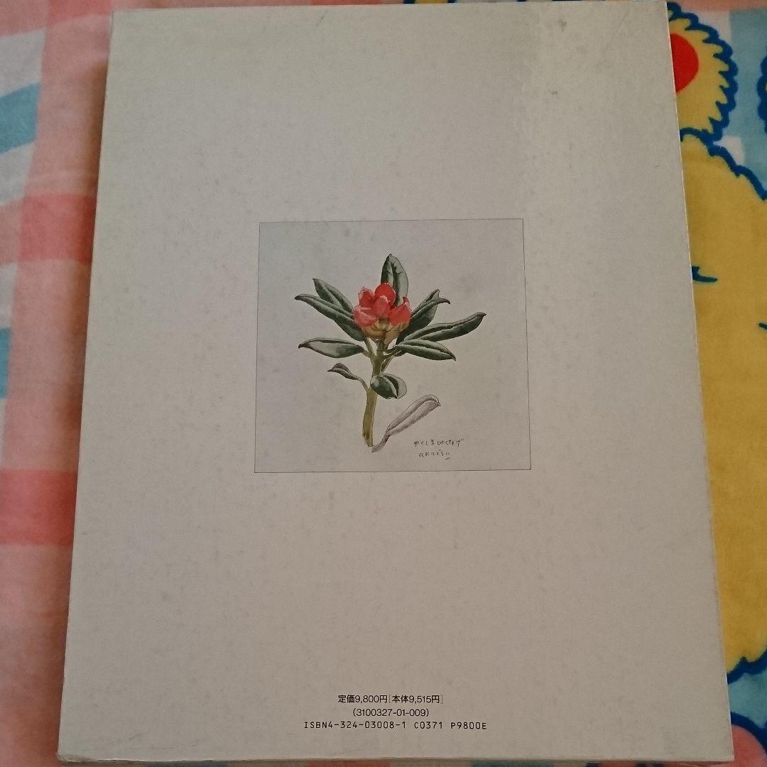 小磯良平 現代日本素材描全集 9 - メルカリ