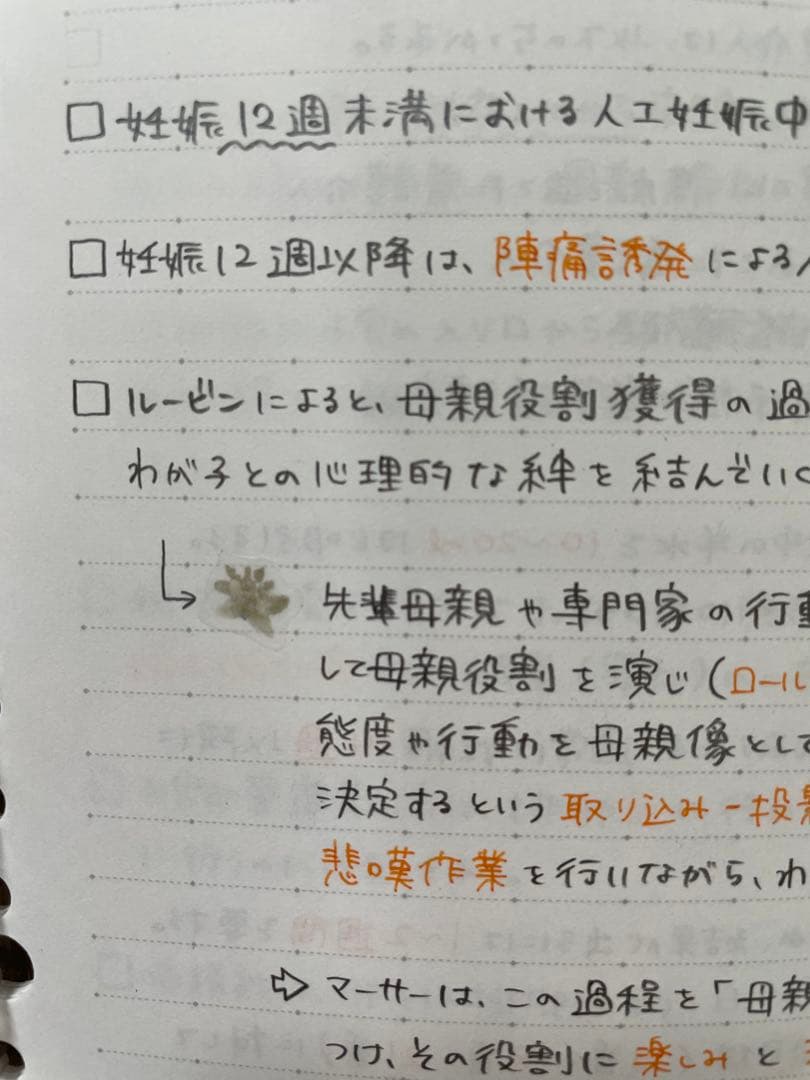 助産師学校受験対策 まとめノート ver2 応用編 勉強ノート - メルカリ