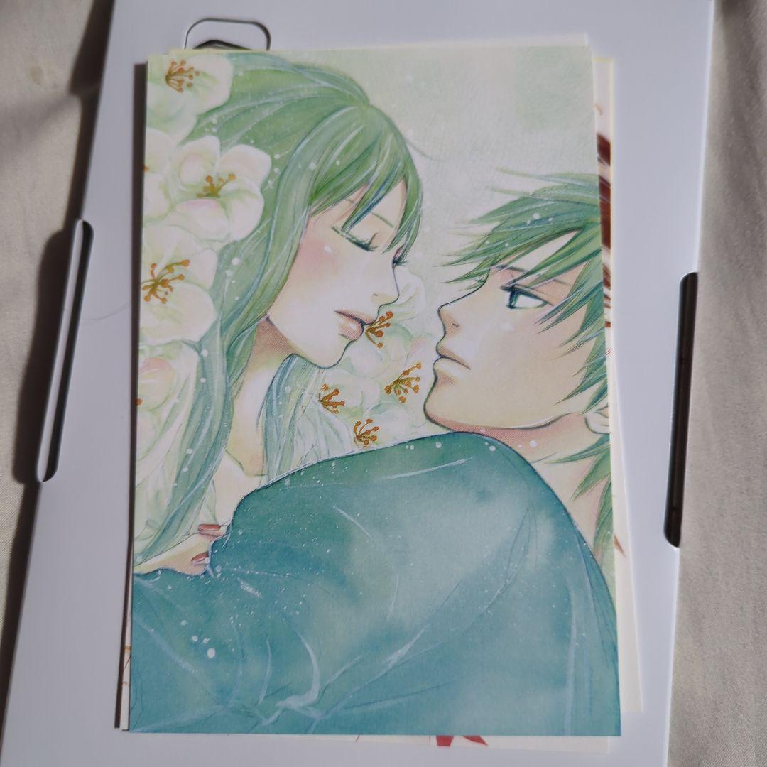 【美品】君に届け プレミアムエディション 初回限定盤 初回生産限定 三浦春馬