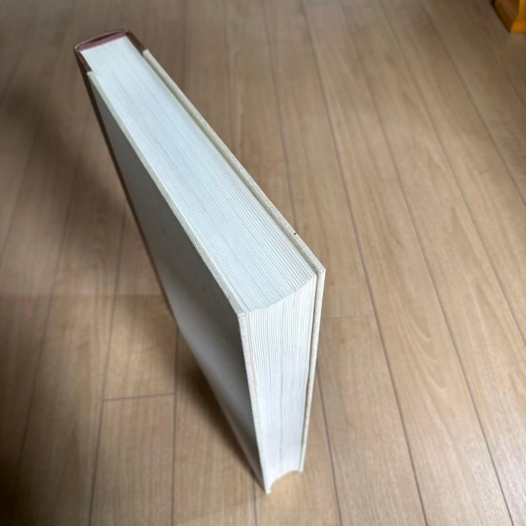 ミケランジェロ素描全集　volume1