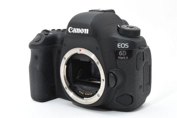 【美品】 Canon EOS 6D Mark II 《ショット数3053回》