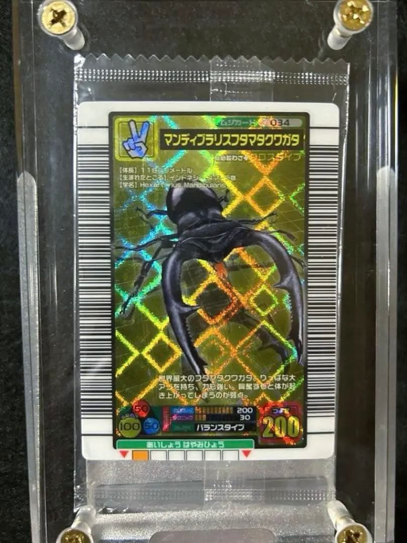 ムシキング 5周年 ハードコーティング マンディブラリスフタマタ