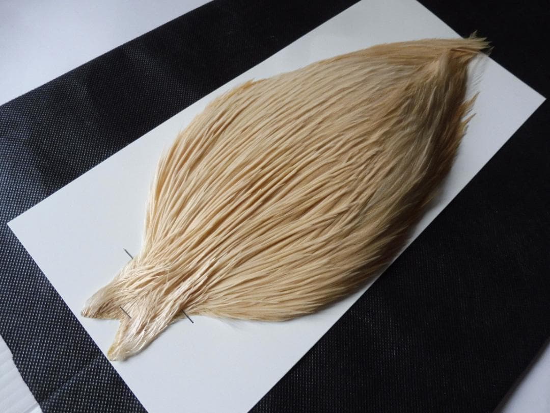 掛軸-795 米重忠夫 猛虎 共箱 二重箱