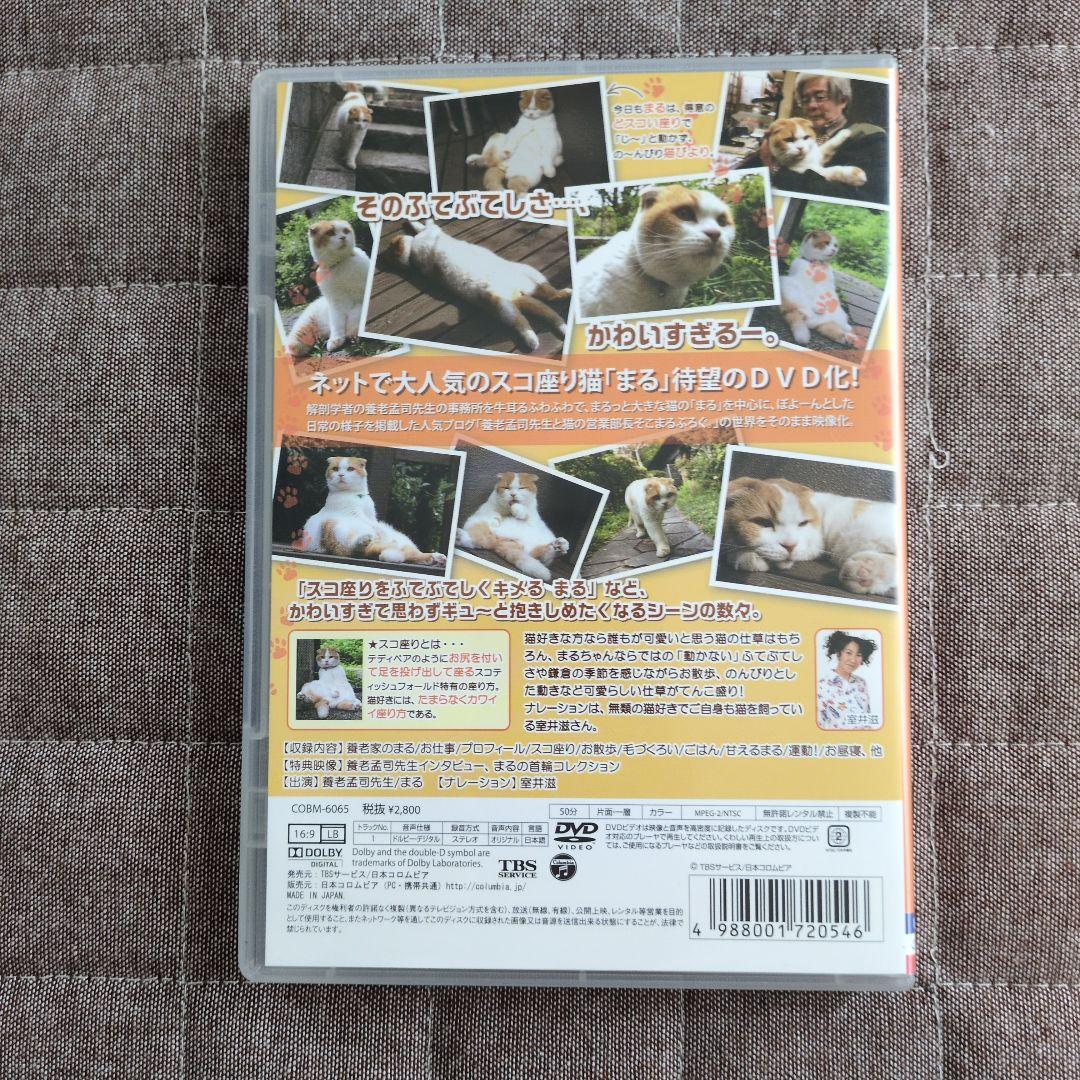 スコ座り猫。 DVD