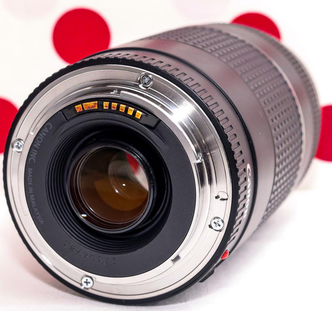 Canon純正 75-300mm 望遠レンズ a4012