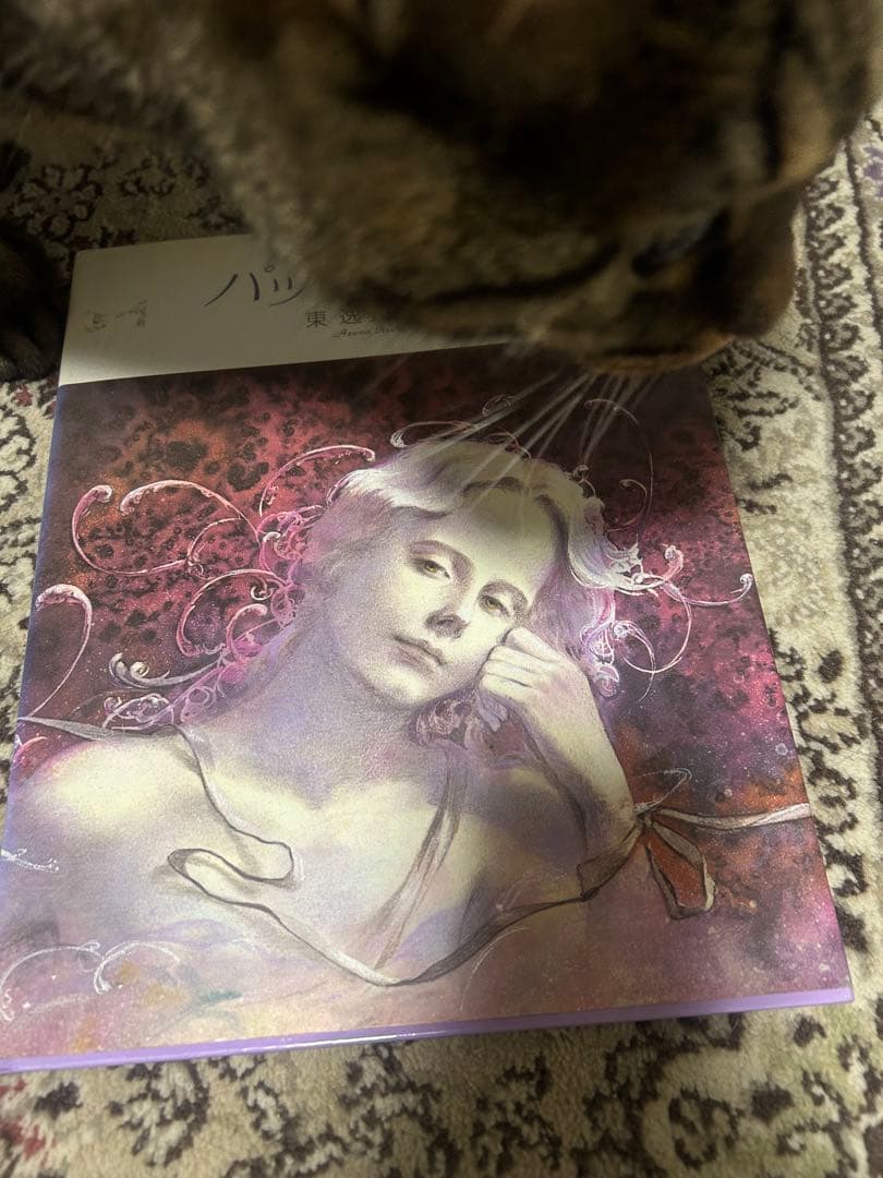 パッサカリア 東逸子さんの画集 絶版 - メルカリ