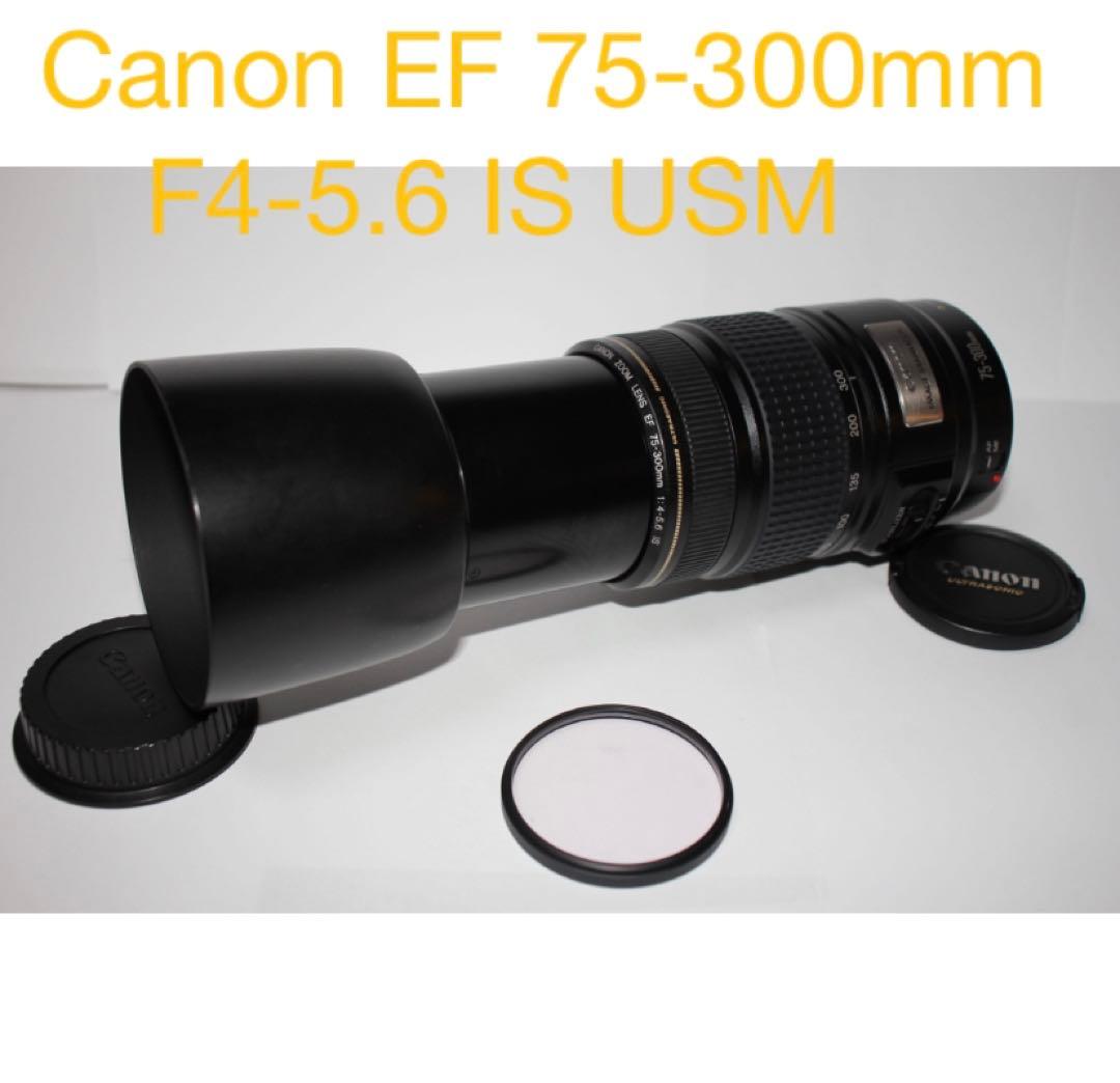 一眼レフカメラ 手ぶれ補正レンズ Canon EF 75-300mm IS