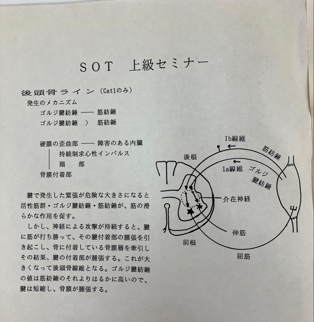 最終価格《希少品》SOT 上級 セミナー　ノート