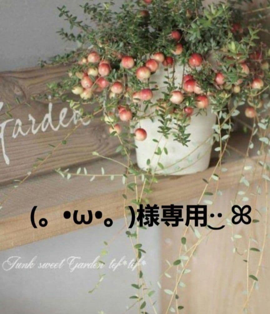 (。•ω•。)﻿ページですᕷ*.° SUPER73-ZX Core | Legacy Series