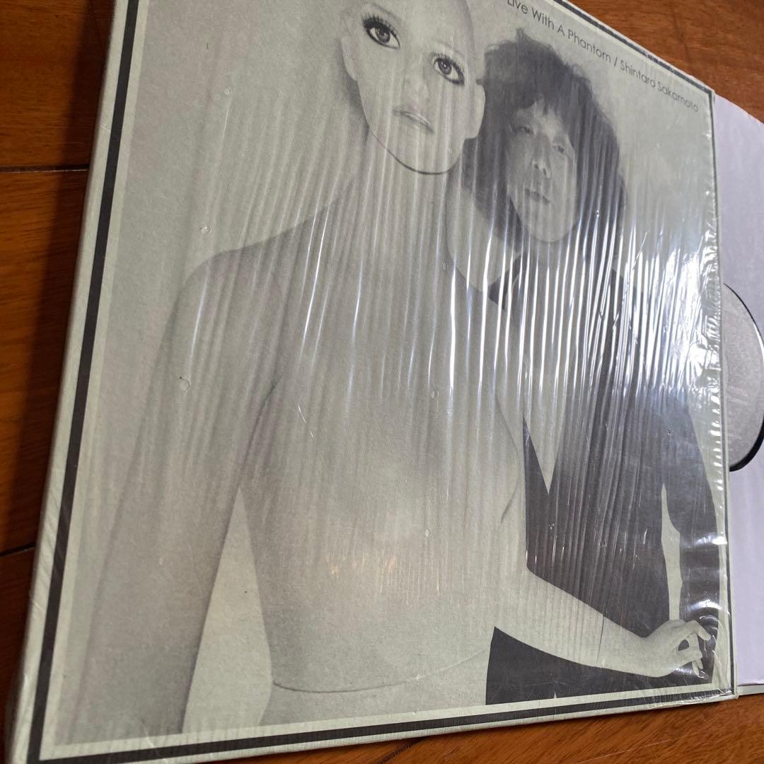 Sakamoto Shintaro 坂本慎太郎 / 幻とのつきあい方 LP - メルカリ