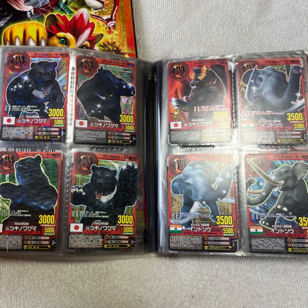 アニマルカイザー 初期 アニマルカード レア ノーマルなど大量まとめ