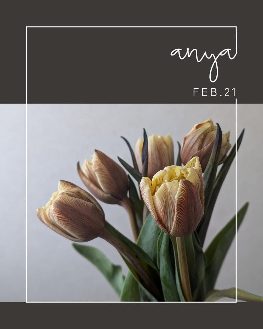 FEB.21 チューリップ☆切り花セット - メルカリ