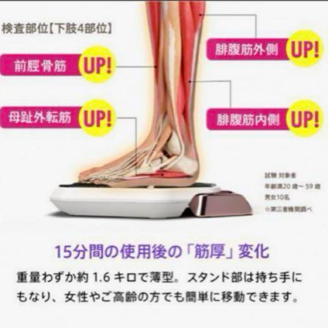 美品☆ SLIMPAD Labo リラクゼーショングッズ