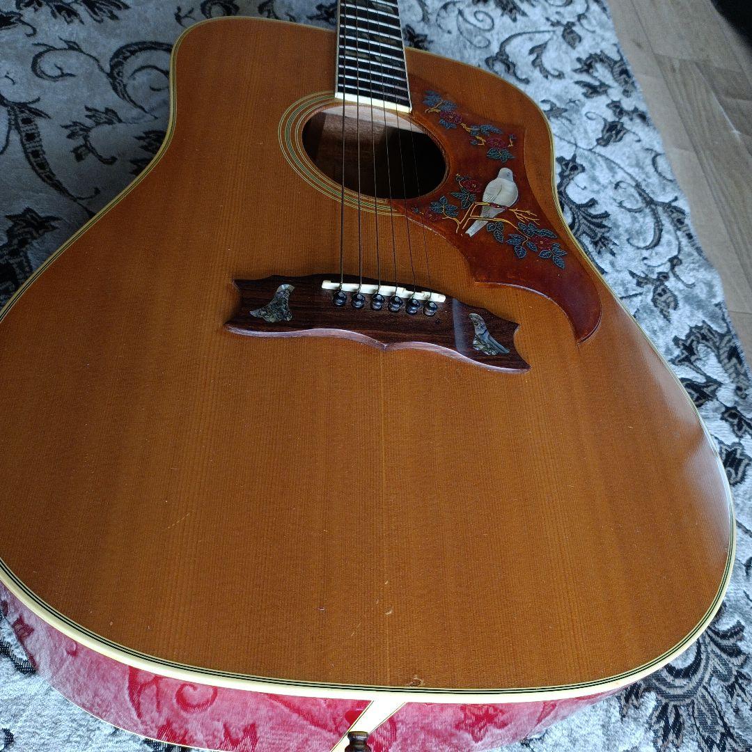 DOVEダヴモデル Burny BD-85 バーニー フェルナンデス 百瀬さん - メルカリ