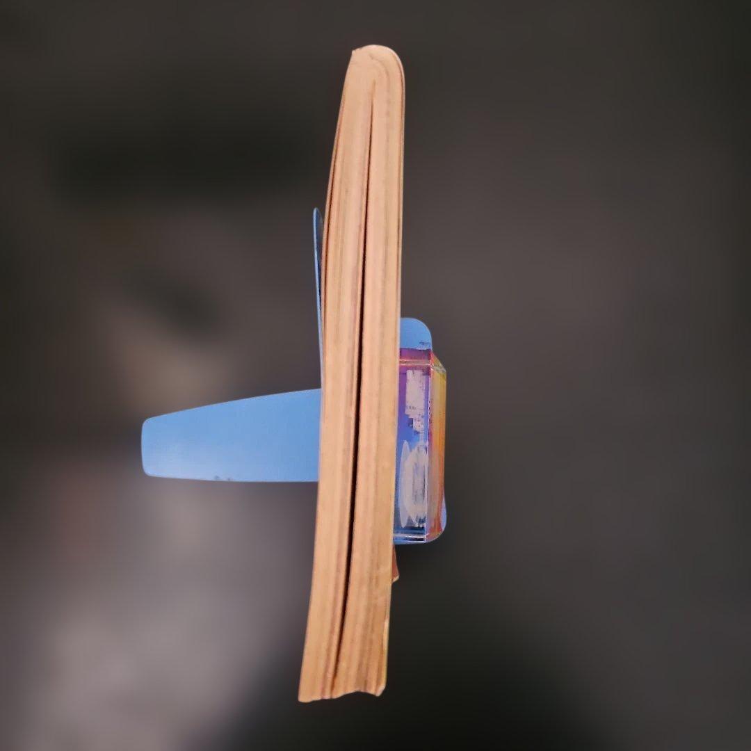 劇画 猛虎魂 1985年 タイガース優勝記念版 週刊アサヒ芸能増刊 11月